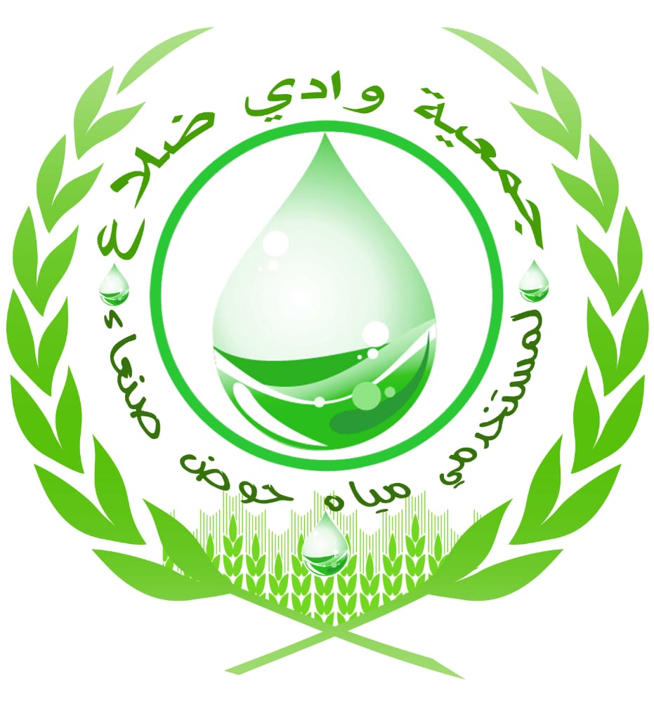 المنظمة الوطنية للاعلاميين اليمنيين - صدى
