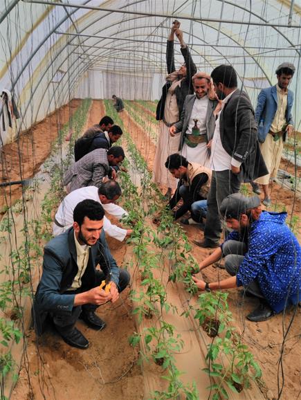 مؤسسة يُمكن للتنمية و التطوير